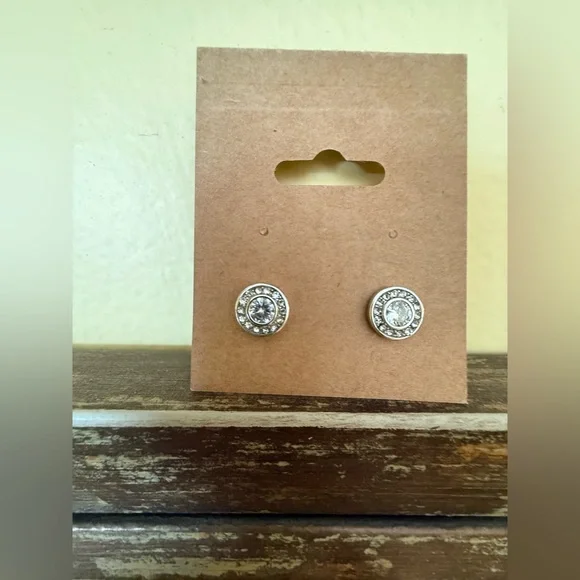 Elegant Silver Stud Earrings - Picture 1 of 1